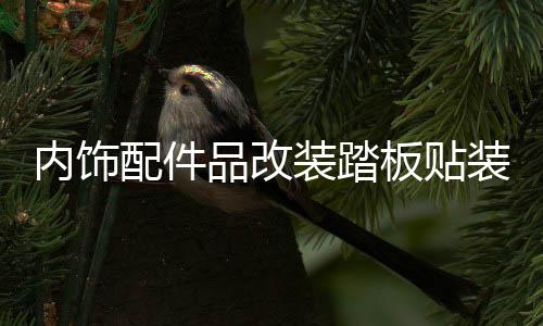 内饰配件品改装踏板贴装阿特防踩款马自达兹门车用迎宾饰汽槛条
